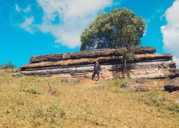 सारुप्ली राजा र फेङमा