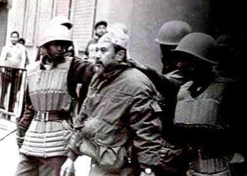 यो कस्तो भाषिक समानता ?