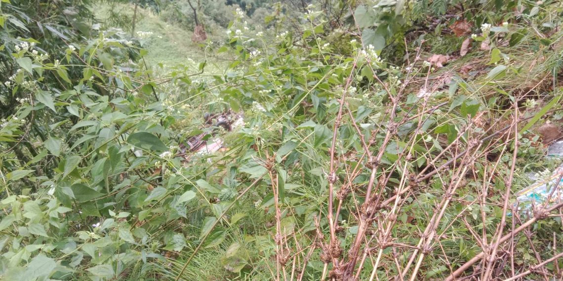 उबूमा बलेरो दुर्घटना ५ घाइते