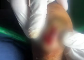 लोकप्रिय गायिका मनु नेम्बाङ घाइते