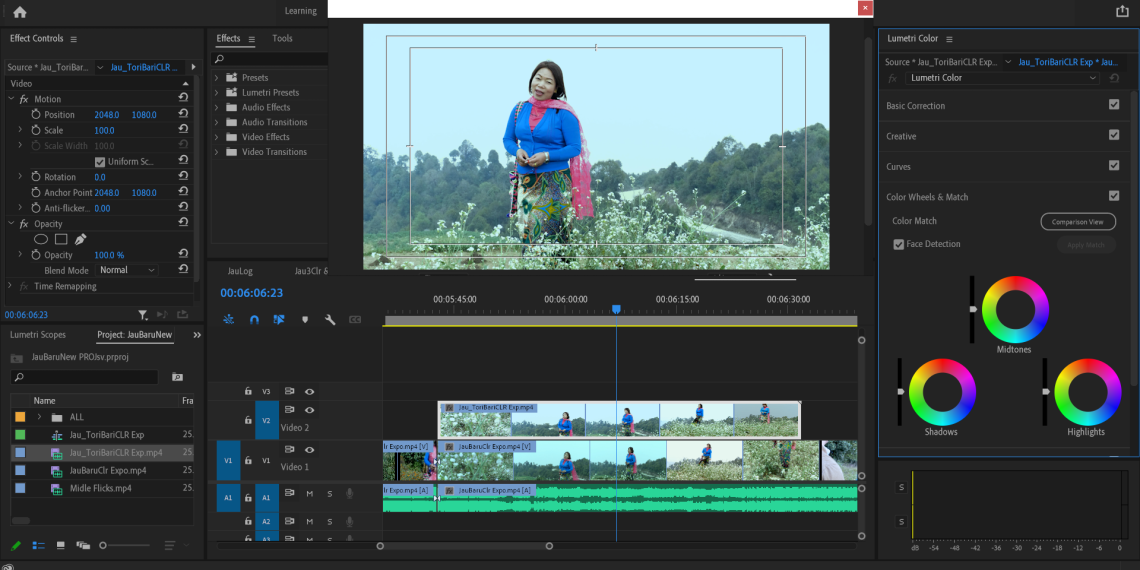 जाऊ बरु डाडै काटी. . .