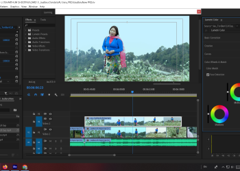 जाऊ बरु डाडै काटी. . .