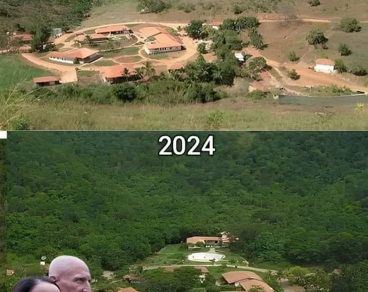 EVEN ANIMALS ARE BACK