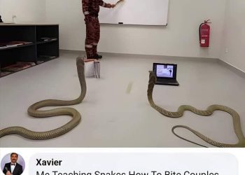 You will marry the girl I choose